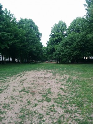 park2.jpg