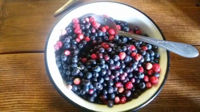 20180611_091651.jpg