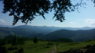 20180609_101158.jpg